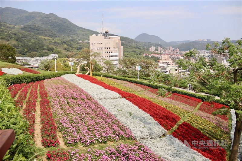 色とりどりの花が咲いている北投社三層崎公園＝台北市で2024年3月22日、中村充孝撮影