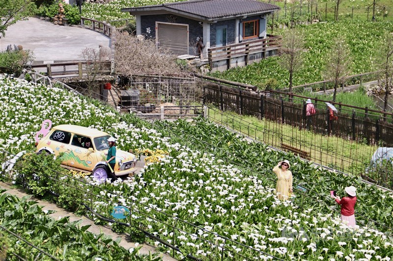 農園内に設置された写真スポットで撮影を楽しむ来場者＝台北市で2024年3月22日、中村充孝撮影