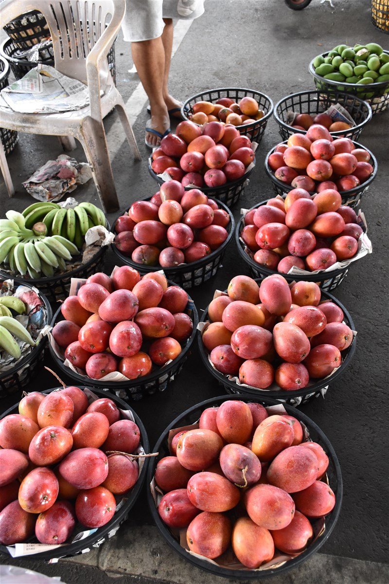 台南・玉井の青果市場に並ぶマンゴー