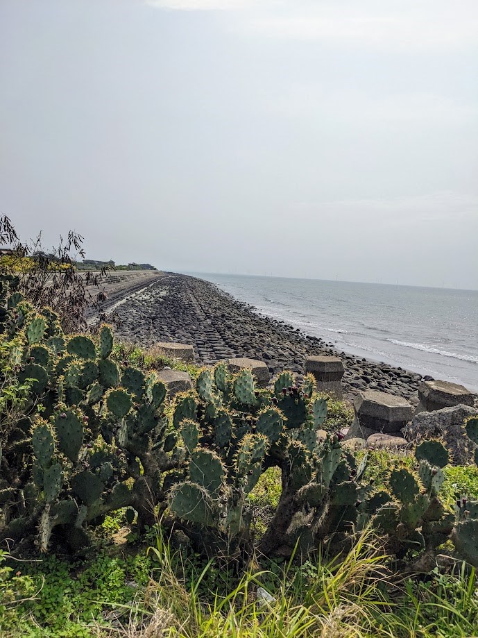 サイクリングロードはほとんどの区間が海岸に沿って整備されています