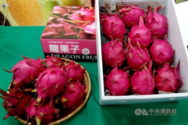台湾産ドラゴンフルーツ