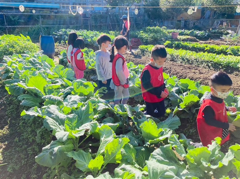 地域の畑を観察する園児ら＝教育部提供