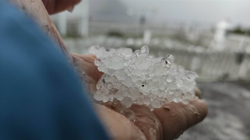 玉山観測所で降ったひょう（中央気象署提供）