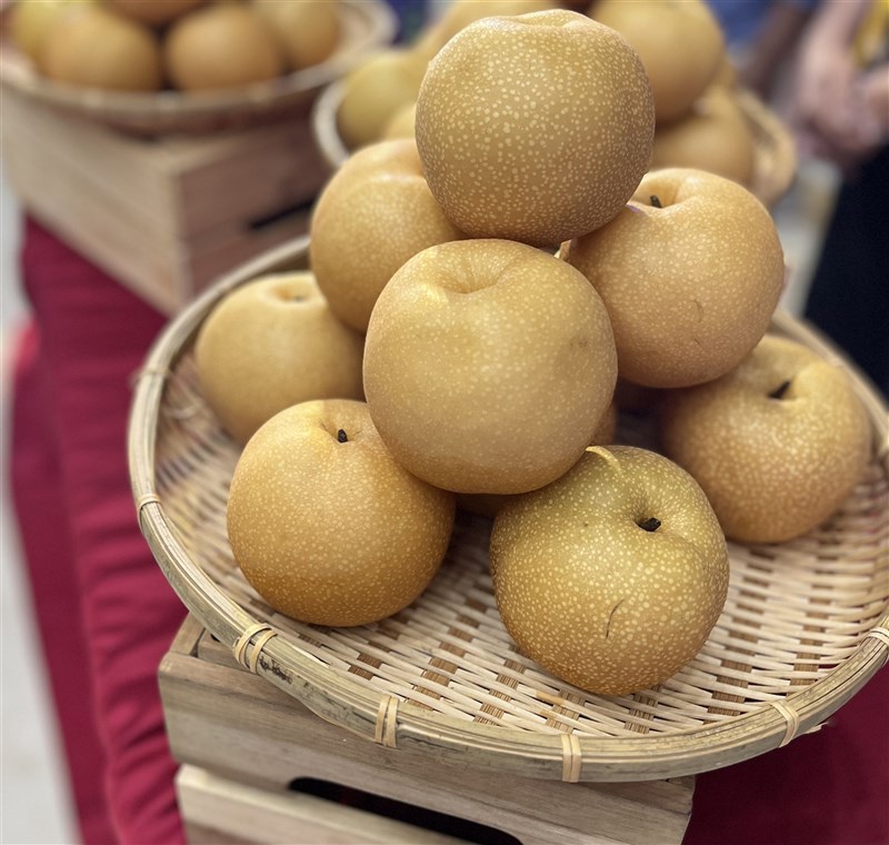 苗栗県産のナシ＝管瑞平撮影