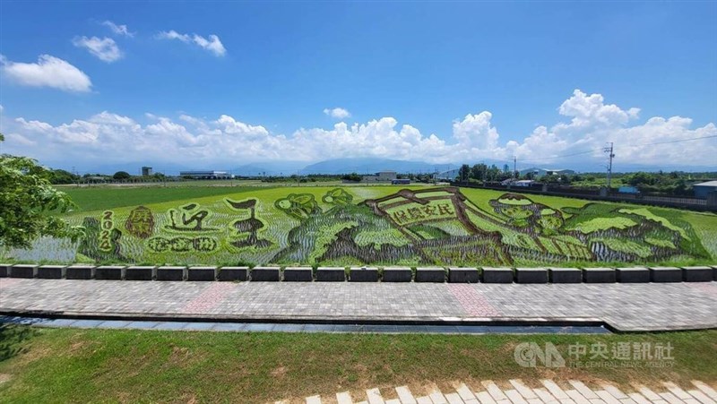 屏東県の伝統行事をテーマとした田んぼアート＝29日、黄郁菁撮影