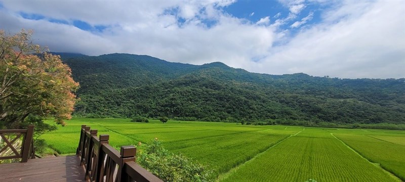 花蓮県卓渓郷に広がる田んぼ＝玉山国家公園管理処提供