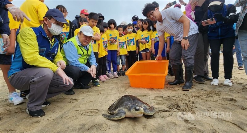 海に帰されるウミガメと見守る子どもたち＝中央社記者撮影