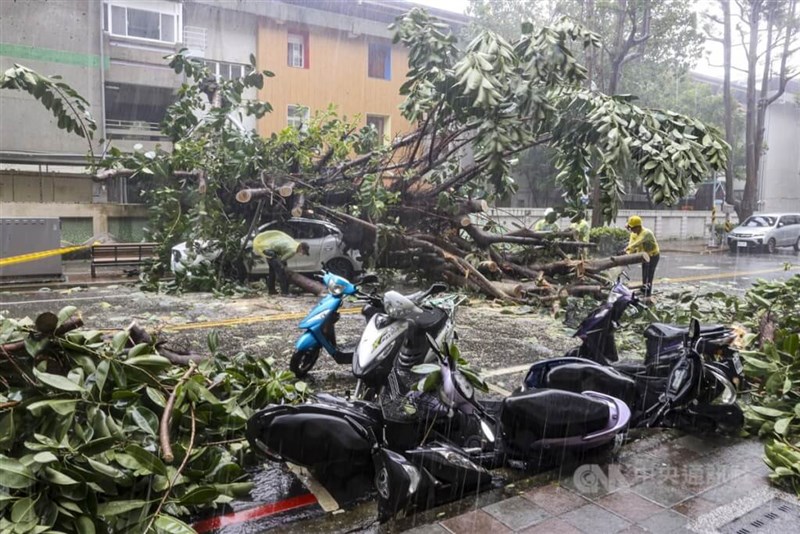 倒木は新北市永和区でも発生した。路肩に止められた自動車やスクーターにも被害が及んだ＝31日、鄭清元撮影