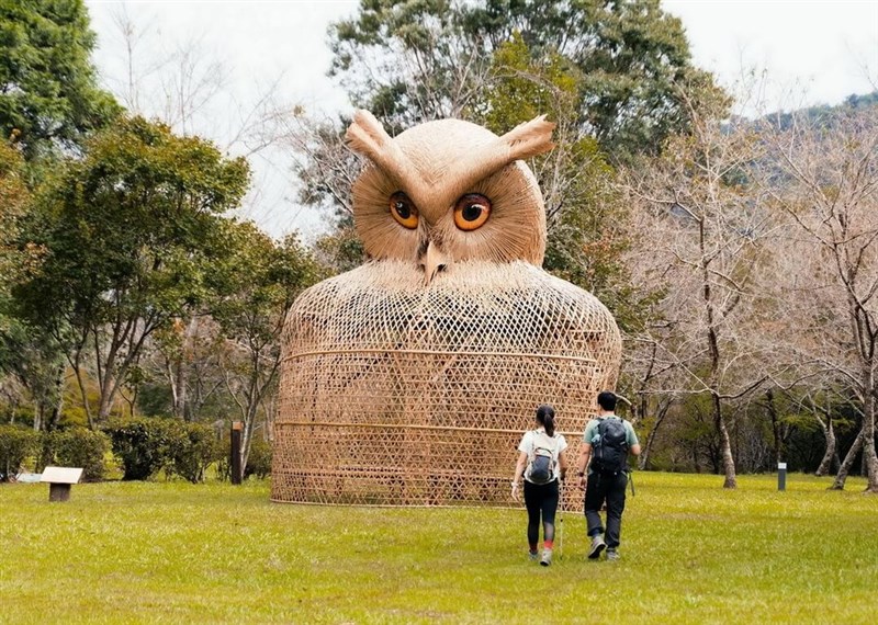 夜行性猛禽類のヒガシオオコノハズクをかたどった竹の大型インスタレーション＝農業部林業・自然保育署南投分署提供