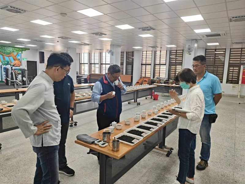 瑞穂郷で栽培された蜜香紅茶の味を確かめる審査員ら=同郷農会提供