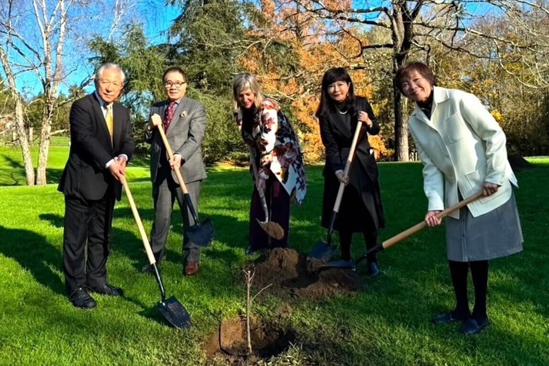 スペインで昭和天皇ゆかりの台湾の桜を植える安倍昭恵さん（右端）。右から2人目は台湾人画家の邱貴さん（邱さん提供）