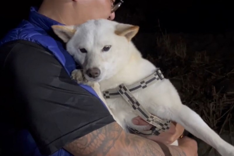 ツリークライミングのインストラクターによって、約1日半ぶりに救出された柴犬（台南山上花園水道博物館提供）