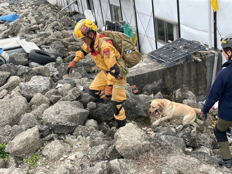 試験を受ける台北市政府消防局の救助犬＝同局提供