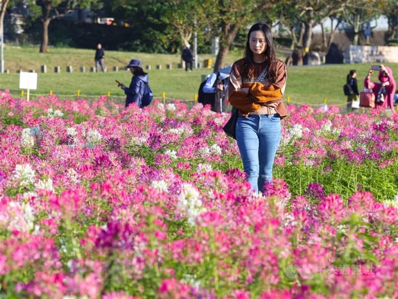 台北市内の公園で花を楽しむ人たち＝資料写真