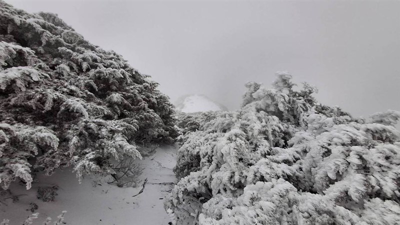 台湾最高峰の玉山（南投県）では早朝から雪が舞い、午前8時までに1センチの積雪が観測された＝気象署提供