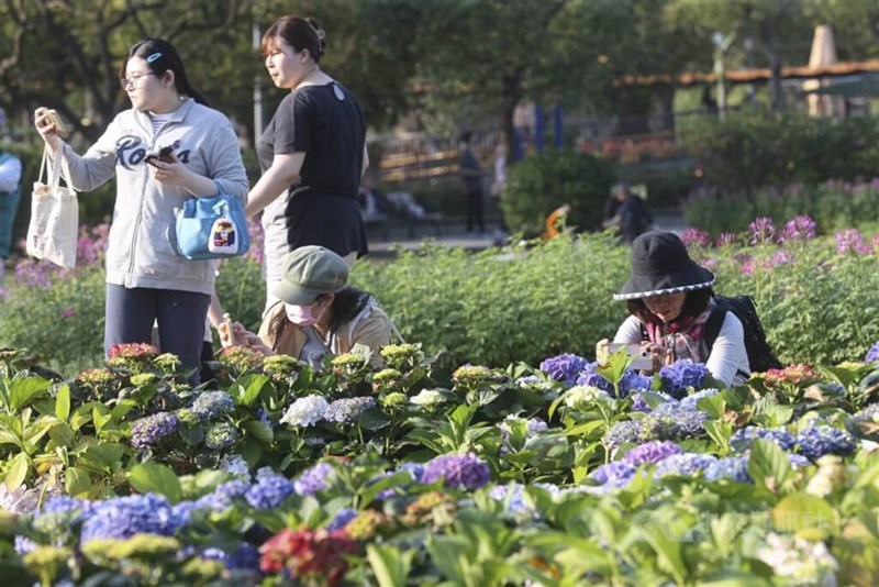 台北市内の公園で花を楽しむ人たち＝資料写真