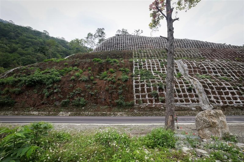 表面が滑り落ちて地面があらわとなった斜面では、公園管理処が植物の復育を進めている(2025年3月20日、中央社記者王騰毅撮影)