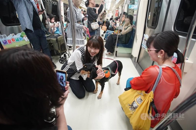飼い主の許可を得て、犬と一緒に写真撮影を行う乗客もいた=中央社記者徐肇昌撮影