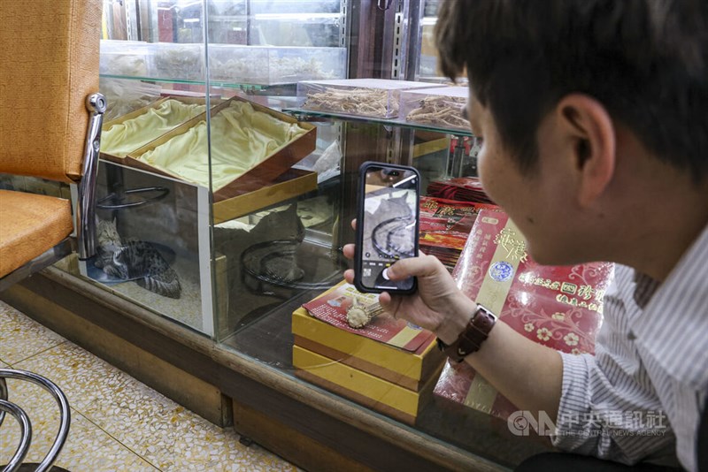 「喵喵」のブレーク以来、写真を撮りに訪れる人も多い＝中央社記者鄭清元撮影