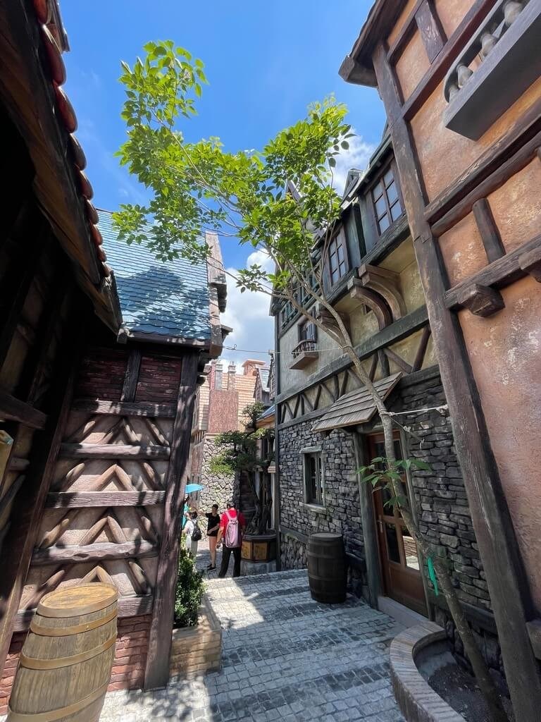 敷地内の様子＝姜梅紅県議事務所の姜鈞翔主任提供