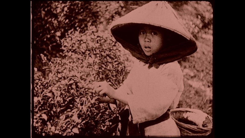 茶摘みの少女。映画「フォルモサ」のワンシーン（国家映画・視聴文化センター提供）