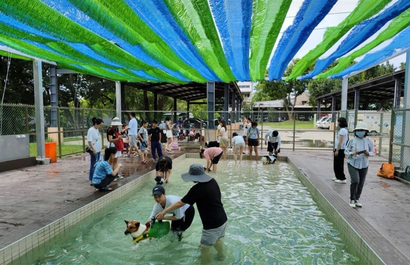 8月に供用が始まるペット用プール（桃園市政府動物保護処提供）