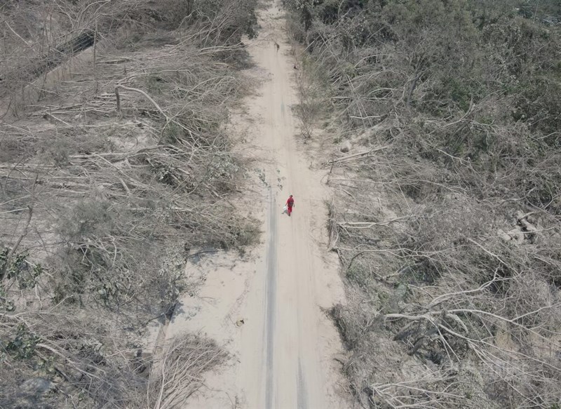 4月3日の台湾東部地震により、東部・花蓮県では複数箇所で土砂災害が起きた。台湾鉄路崇德駅付近で木々がなぎ倒された様子＝4月4日、花蓮県秀林郷で中央社記者趙世勳撮影