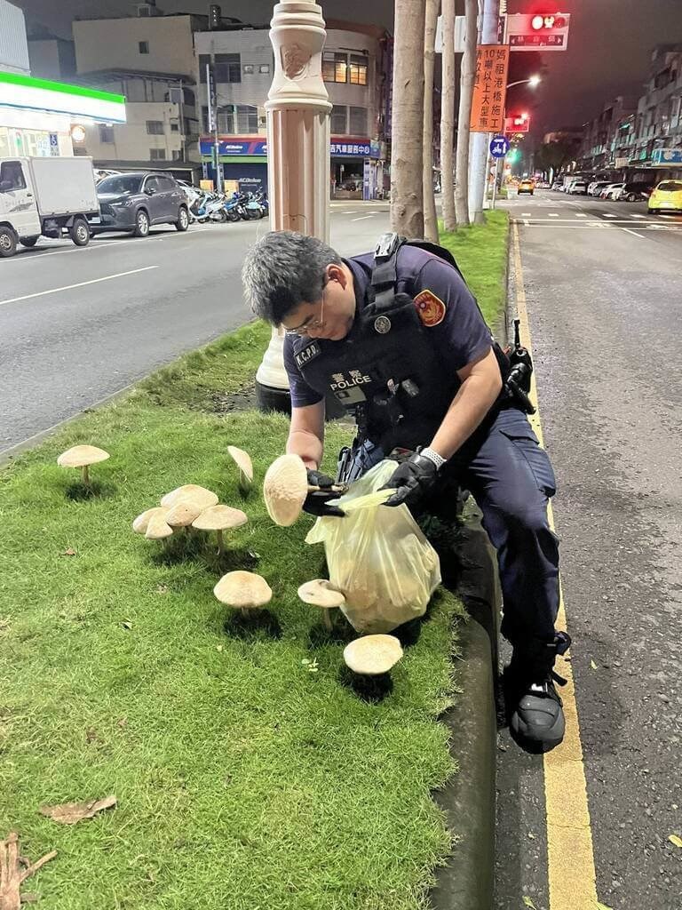 キノコを摘み取る警察官＝高雄市警察局鳳山分局提供