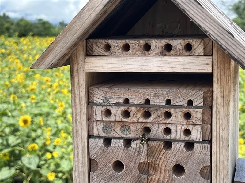 単独性ハナバチのためのかわいらしい「ホテル」＝農業部（農業省）花蓮区農業改良場提供