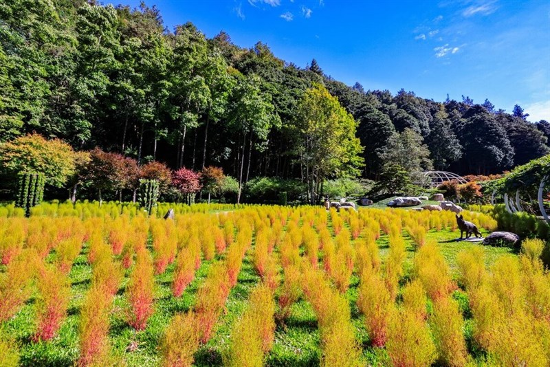 杉林渓森林生態渡仮園区提供