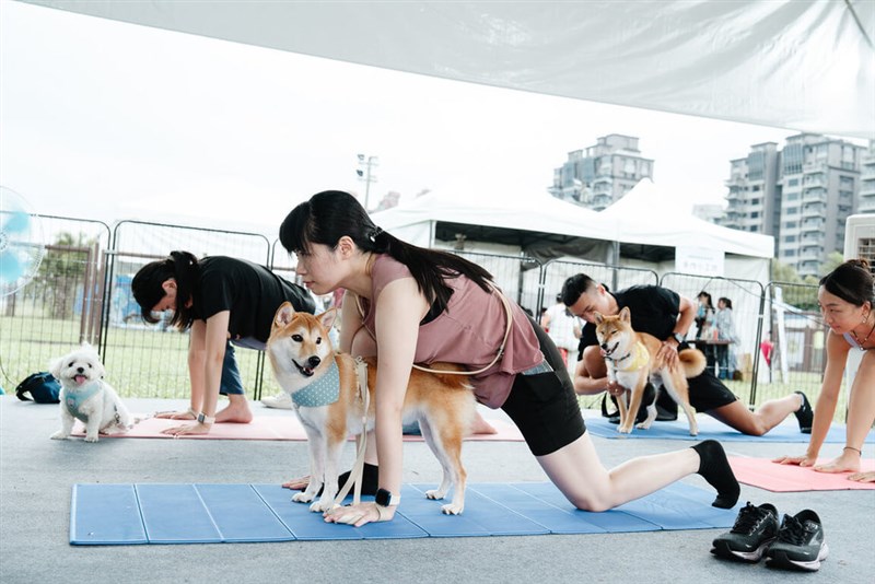 飼い犬とヨガを行う人々＝台北市動物保護処提供