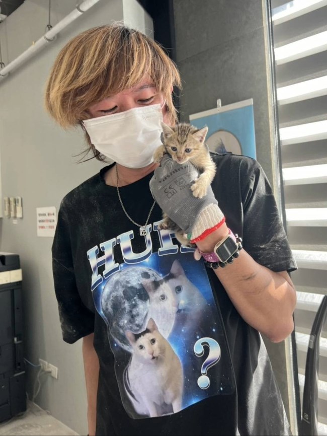 動物保護防疫処の職員と救出された子猫＝新北市動物保護防疫処提供