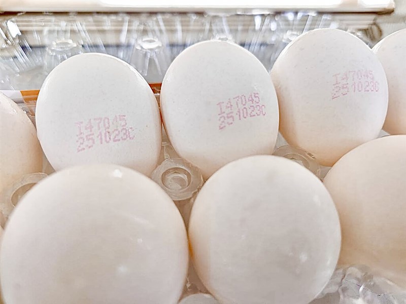 回収対象の卵（彰化県政府提供）