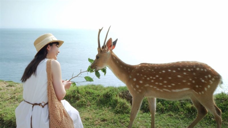 今年10月死亡が公表されたシンガーソングライターのサンディーさん＝連江県政府交通旅遊局提供