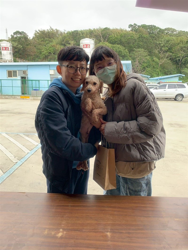 里親に引き取られた犬＝苗栗県動物保護防疫所提供