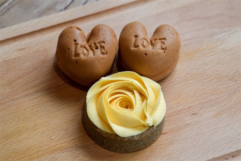 台湾で保護が必要な種に指定されているタイワンヤマネコに配慮して栽培されたバナナを活用した焼き菓子などが中部・南投県のベーカリーやカフェで今月販売される。（写真＝業者提供）