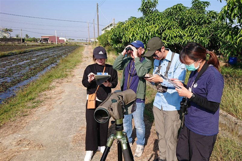 南部・台南市で7日、台湾で保護が必要な種に指定されているレンカクの個体数の調査が完了し、前年の調査より95羽少なかったことが分かった。（写真＝レンカク生態教育園区提供）