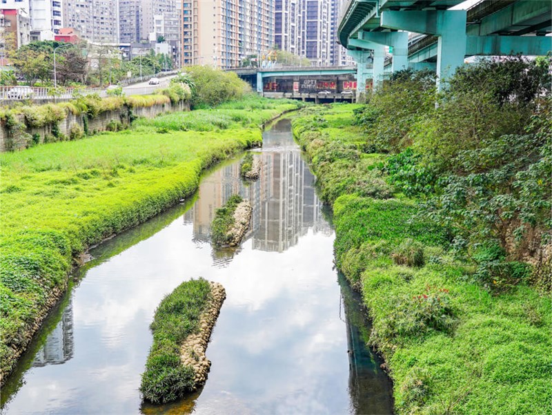 新北市の湿地帯、湳仔溝＝同市政府水利局提供