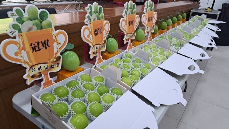 高雄市大社区で開かれた品評会に出品されたインドナツメ＝高雄市政府農業局提供