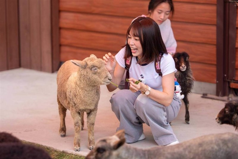 野森動物学校で動物と触れ合う来場者＝高雄市観光局提供