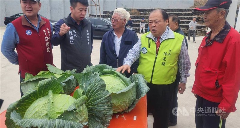 澎湖県で開催された巨大キャベツのコンテストで、洪丙仲さん（右）が育てたキャベツが重量13.5キログラムで優勝した＝2026年1月31日撮影