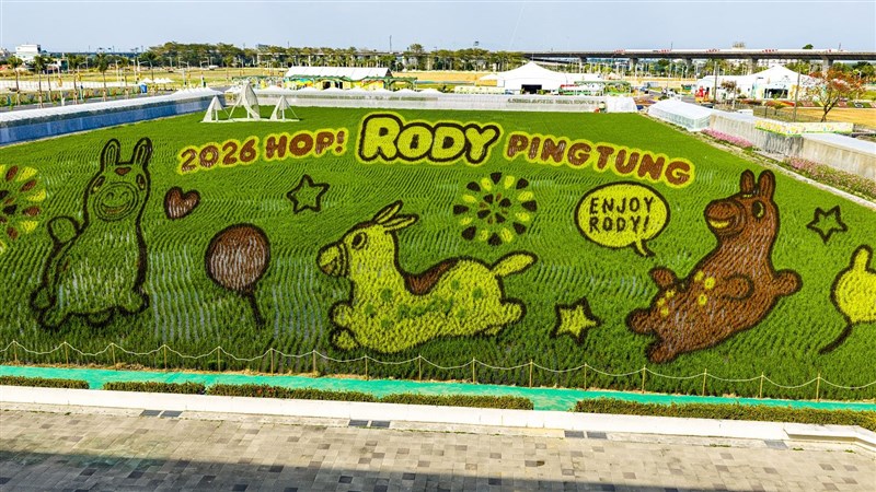 バランスボール「ロディ」を描いた田んぼアート＝屏東県政府提供
