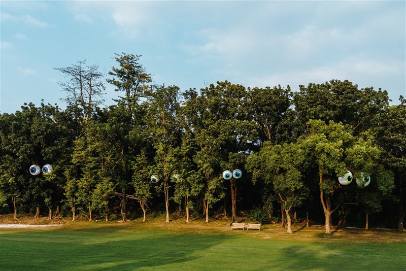 「目」のある木々＝陳其邁市長のフェイスブックページより