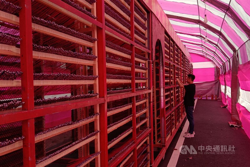 台南市塩水区で行われるロケット花火祭りの発射台＝2026年2月26日中央社記者楊思瑞撮影