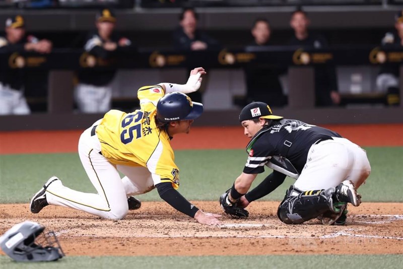 好走塁で生還した中信ブラザーズの高宇杰（左）＝2月25日、台北市