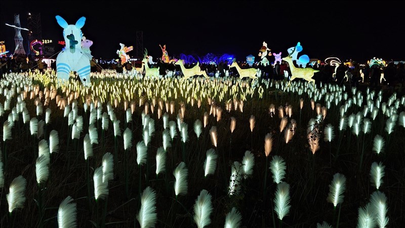 県農業処が設置した「農村再生」エリアでは、山や海、平原が織りなす光景を再現。地面から生えるように光る「エノコログサ」（猫じゃらし）は家畜の飼料を象徴している＝2026年3月3日、中央社記者蔡智明撮影