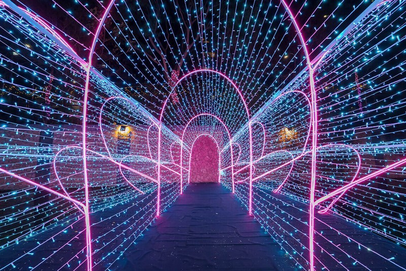 新北市の人工川、中港大排で行われているプロジェクションマッピングの様子。300万個超のLED電球が使用されている＝同市水利局提供