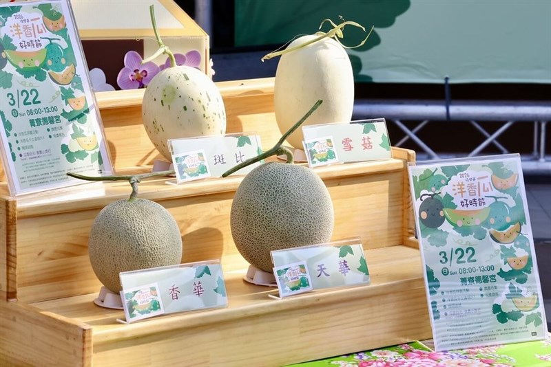 南部・台南市ではメロンの収穫期を迎えており、22日にはPR活動が行われる＝台南市政府提供
