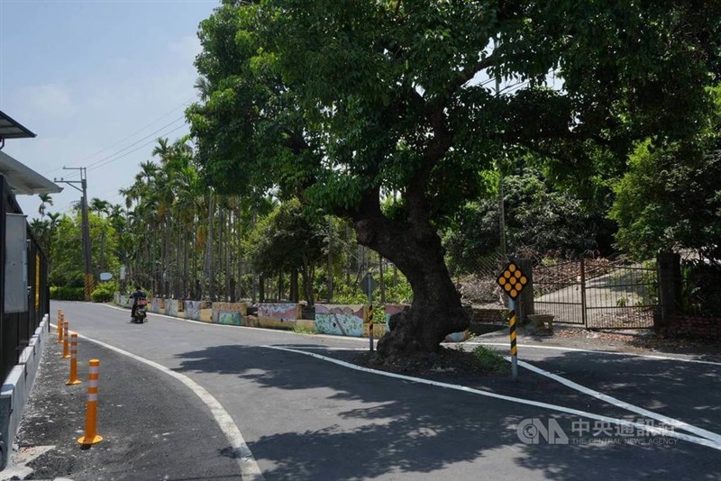 地主が土地を提供して道路が拡幅され、通行がしやすくなった屏東県佳冬の道路。中央にアカギの木が生えている=2026年5月21日、中央社記者黄郁菁撮影