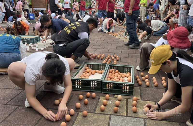 台東県鹿野郷永安村では「卵立て」大会が開かれた=2026年6月19日、中央社記者盧太城撮影